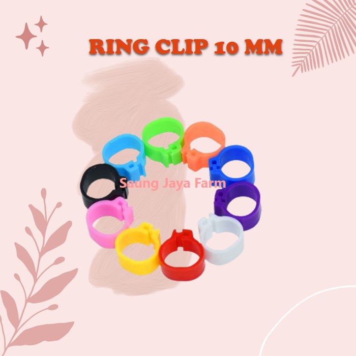 Ring Jepit Ring Klip Plastik Polos 10 mm Gelang Kaki Burung Merpati Dara