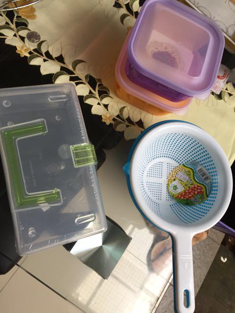 Green Leaf Kotak Makanan Fresh 7638