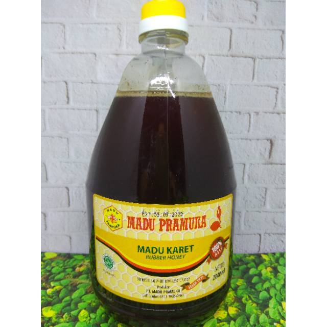 

Madu Bunga Karet 2000 ml atau 2 liter dari Madu Pramuka