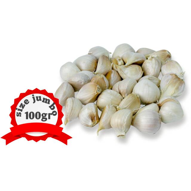 

Bawang putih kating murah kualitas best