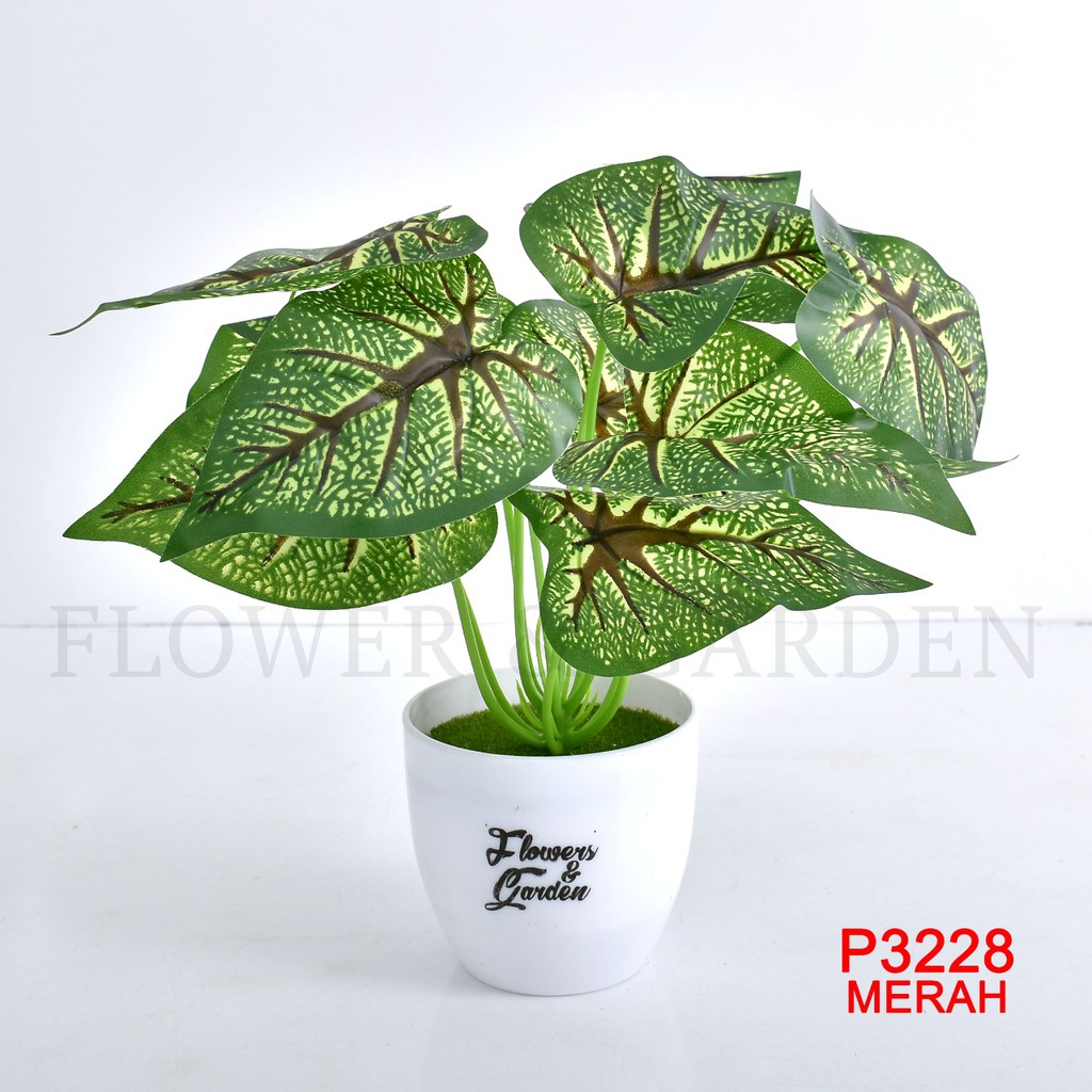 COD/HMPU TANAMAN HIAS TANAMAN DAUN PLASTIK TANAMAN HIAS RUMAH BUNGA HIAS BUNGA PLASTIK BUNGA P3228-6