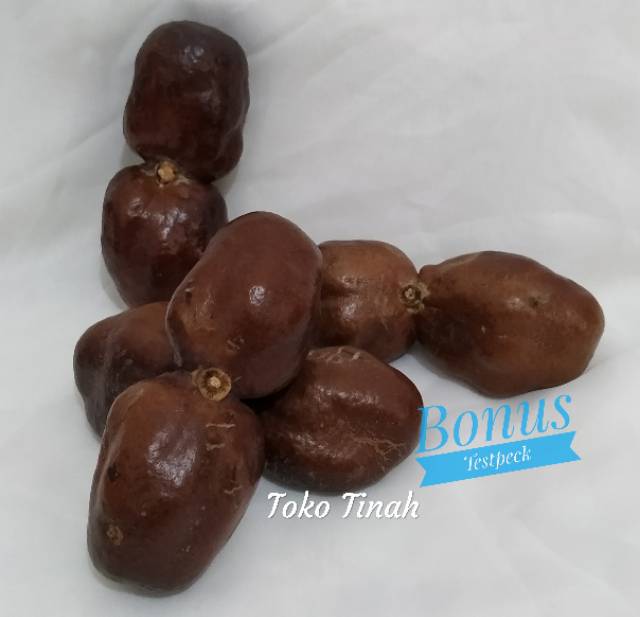 Zuriat kembar Madinah sepasang murah buat promil buah Adam hawa