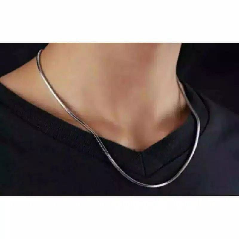 Kalung titanium belut silver/kalung pria wanita