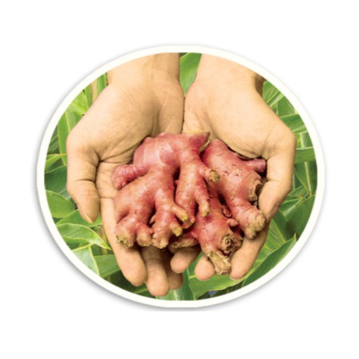 

tradisional-minuman- minuman jahe 41 wedang jeruk nipis jahe merah -minuman-tradisional.