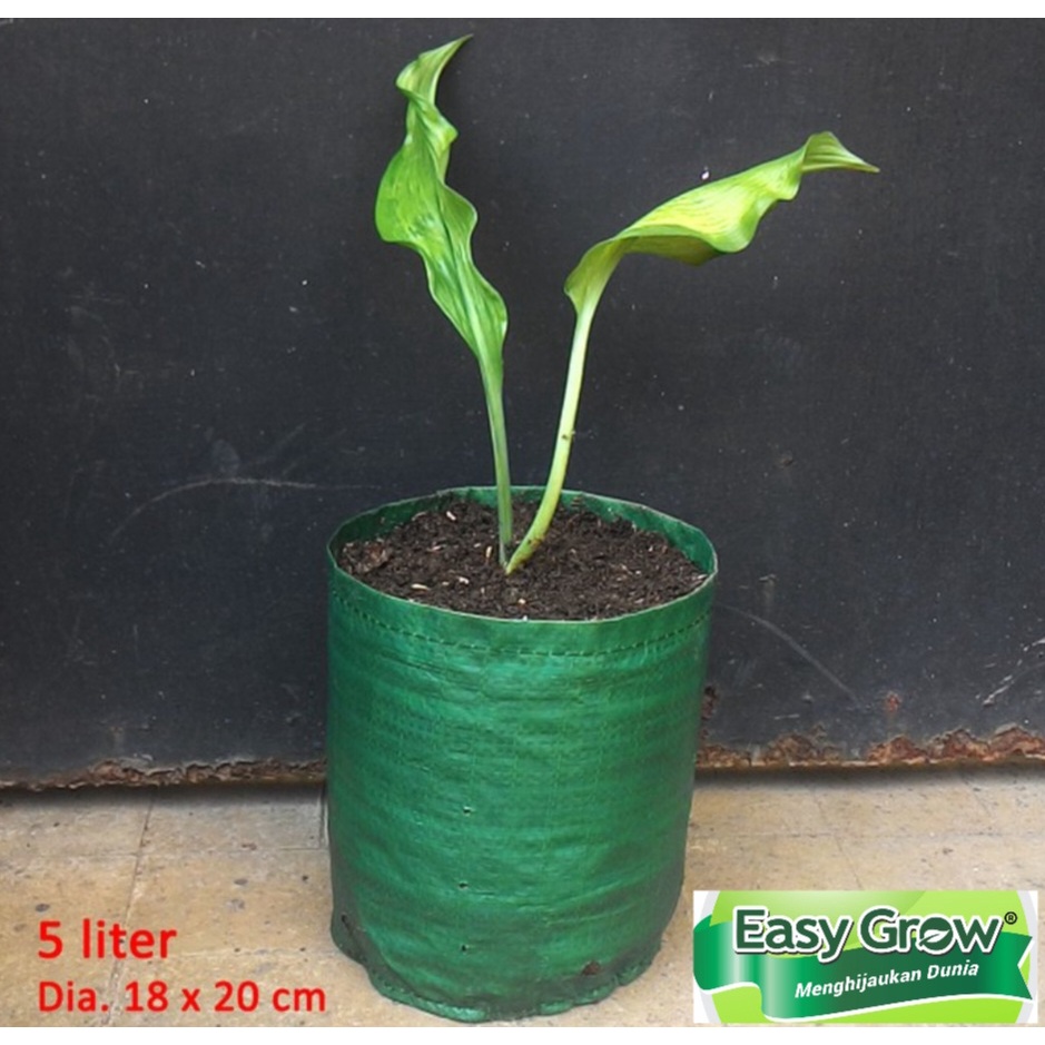 Planter bag 5 Liter easy grow planterbag 5liter easygrow no handle cocok u net pot / netpot hidroponik cabai / cabe / tomat planter bag