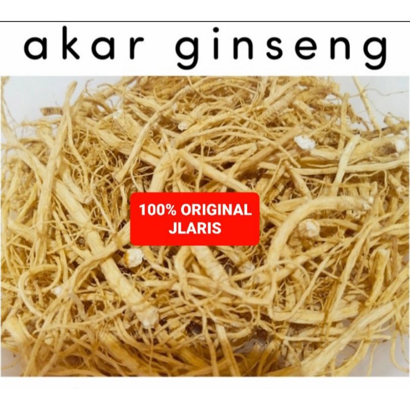 

Akar Ginseng 100gr premium / yang Shen xu / yio som chiu
