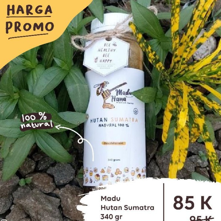 

Madu Hutan Sumatra 1kg - Madu Akasia Murni Asli 100%