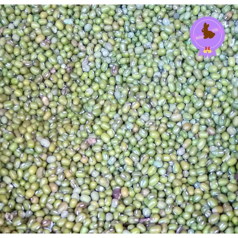 

Kacang Hijau Mentah 250 gr