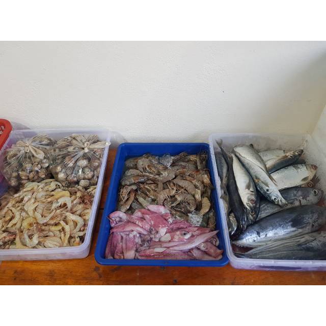 

UDANG VANAMAE 250GR (SIZE BESAR)