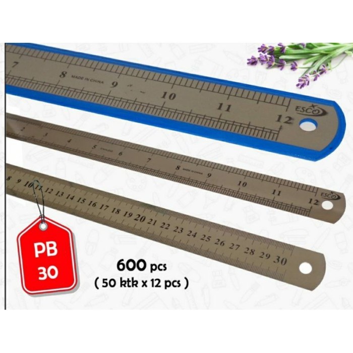 

Hot Sale 12 Pcs Penggaris Besi Murah 30 Cm Berkualitas