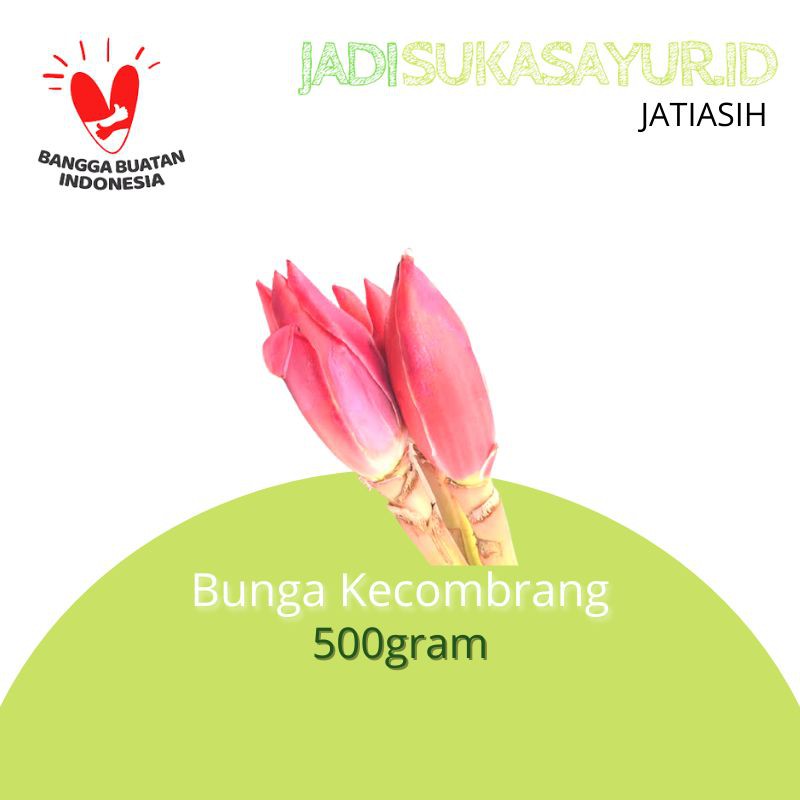 

Bunga Kecombrang Segar / Kincung 500gram - Sayuran Segar Bekasi
