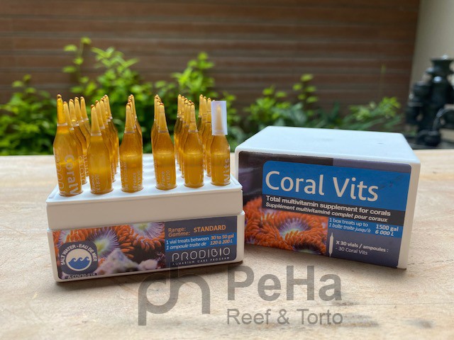 Prodibio Coral Vits 1 ampul - 1 vial - Multivitamin Lengkap Coral