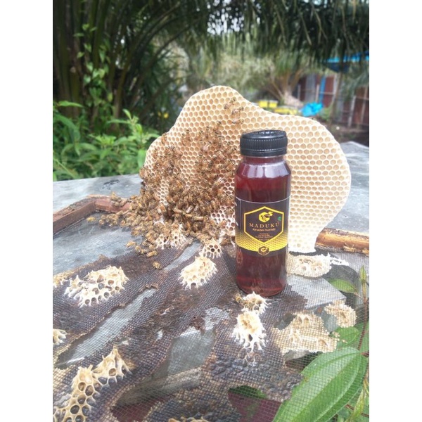 

Madu Hutan Akasia Carpa Murni | Madu Akasia Asli | Madu Asli garansi uang