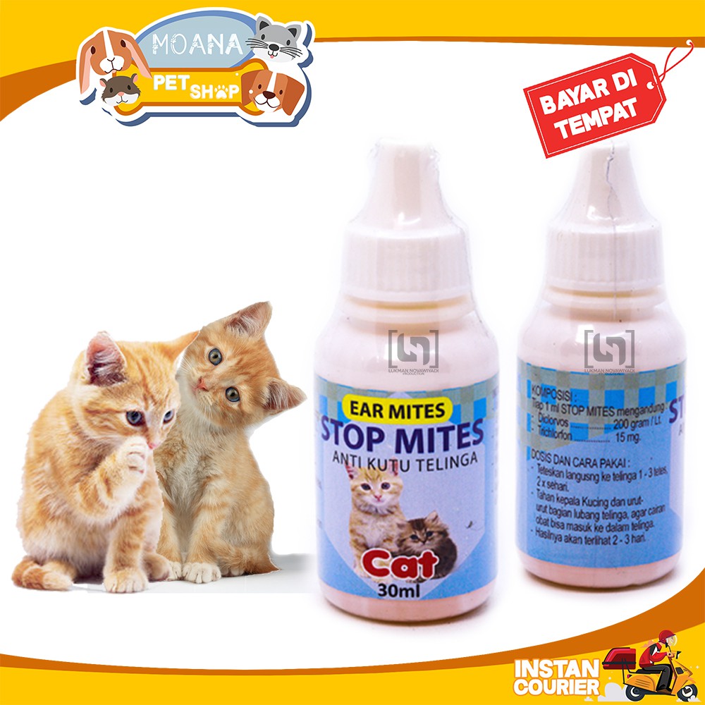 Obat Tetes Anti Kutu Telinga Kucing Kitten Adult STOP MITES 30ml