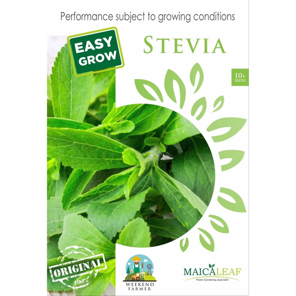 Benih STEVIA 1pack