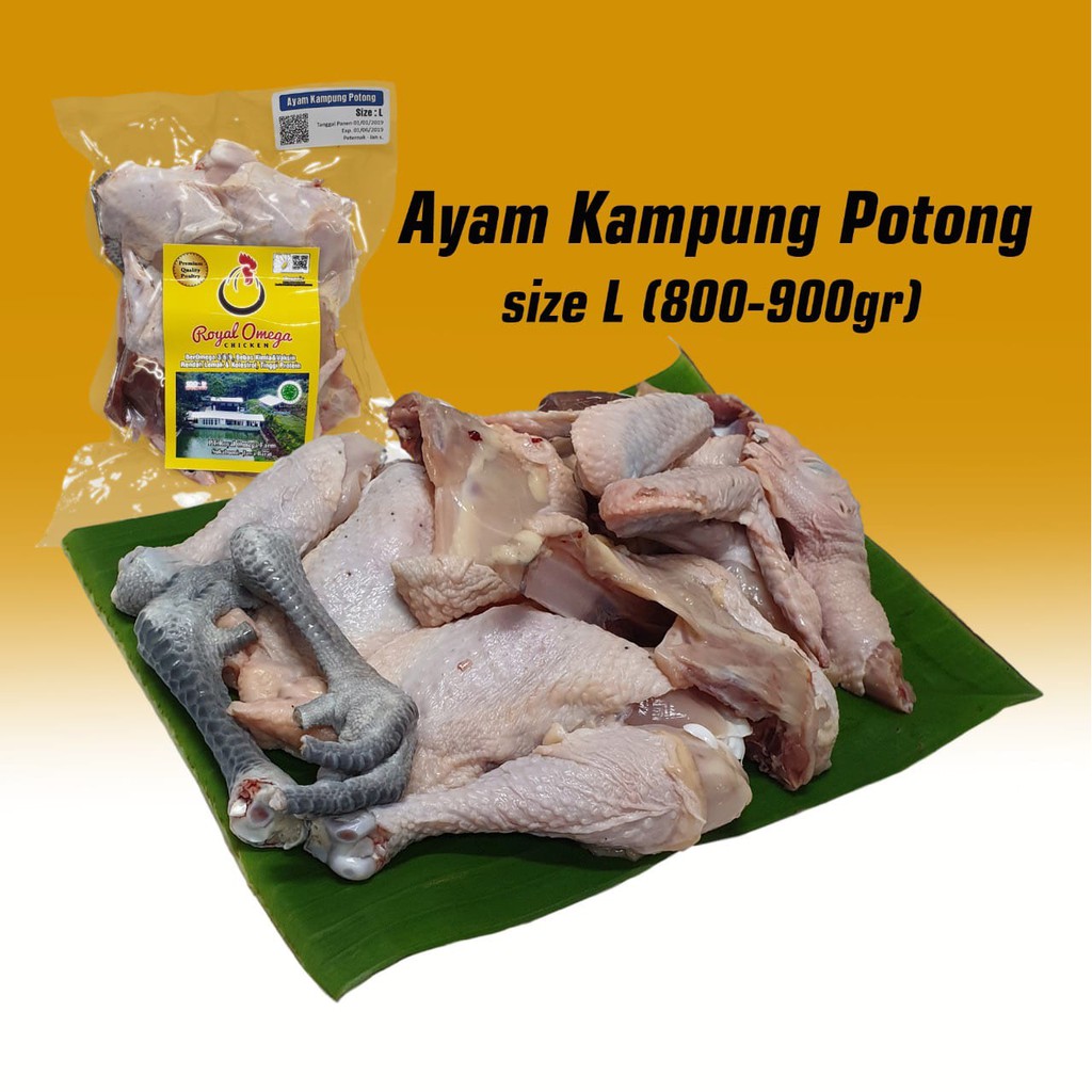 

PROBIOTIK CHICKEN - KAMPUNG WHOLE CHICKEN (CUT 4 PCS) - ROC