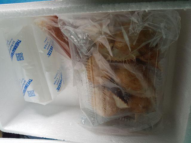 Styrofoam + Ice Gel Sterofoam