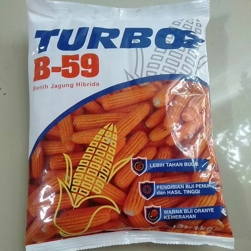 Benih jagung TURBO B-59