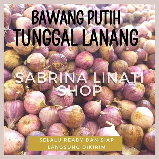 

BISA COD Bawang Putih Tunggal Kualitas Terbaik 250gr BERMUTU Kode 1185