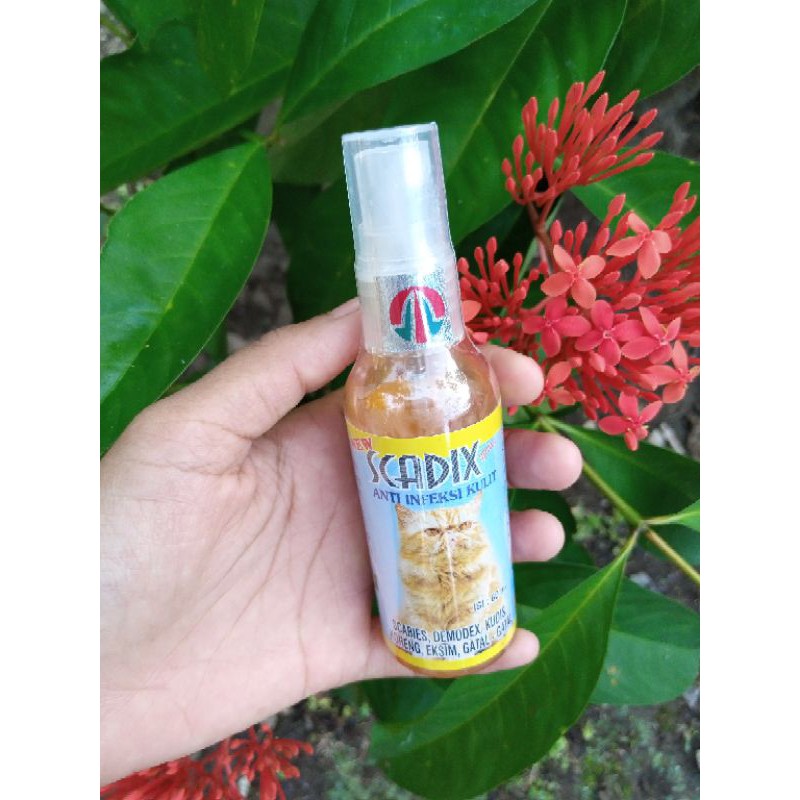 SCADIX spray obat infeksi kulit hewan