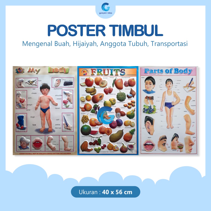 Poster Timbul Anak Edukasi Mengenal Buah, Sayur, Transportasi, Anggota Tubuh, dan Bendera