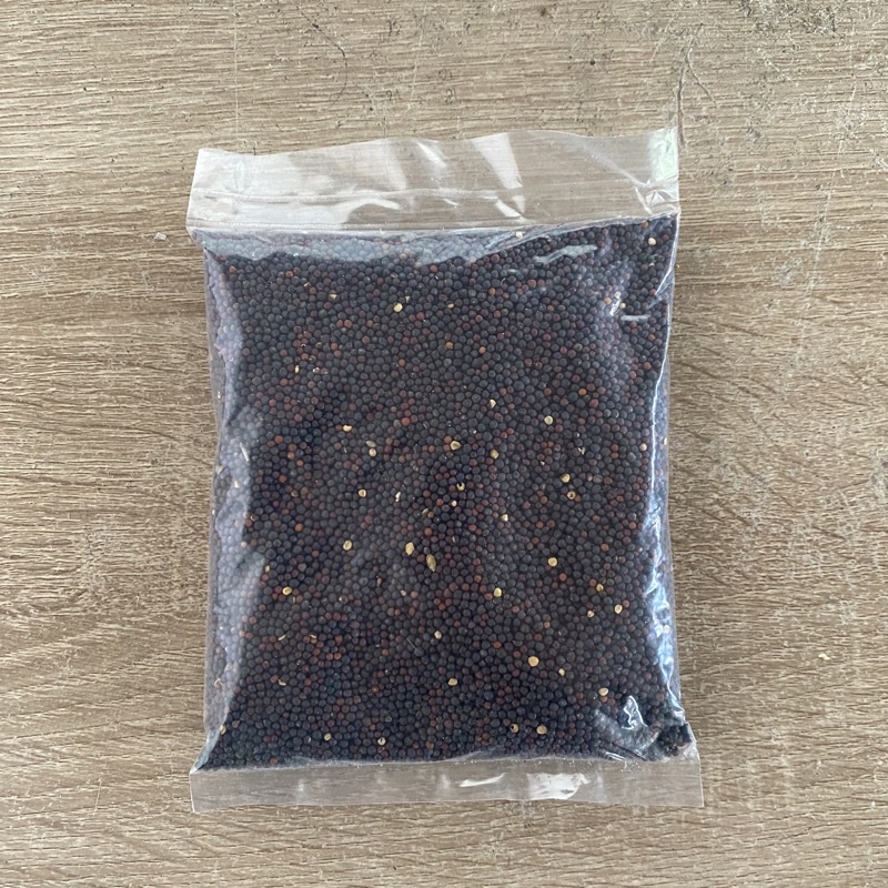 Biji sawi / pakan burung