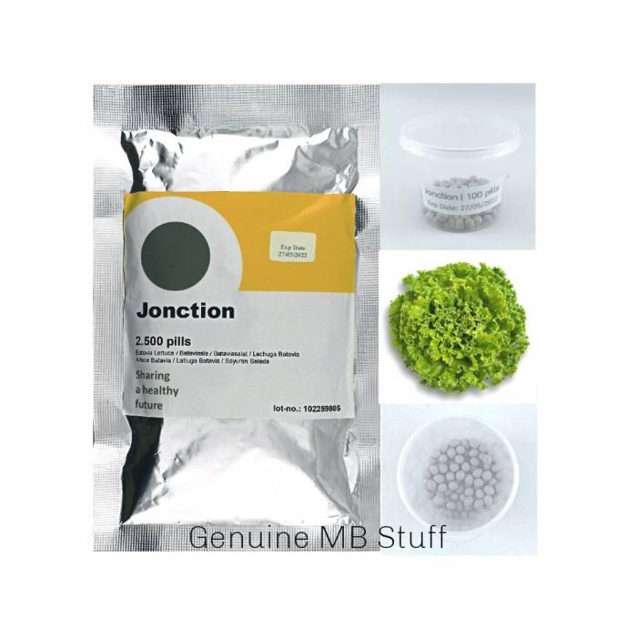 Benih Bibit Lettuce - Selada Junction - Jonction Rz Repack 100 Pills