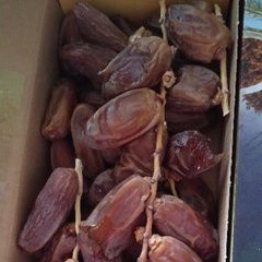 

kurma Tunis tangkai 500g