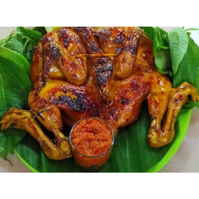 

AyamBakarBakakak