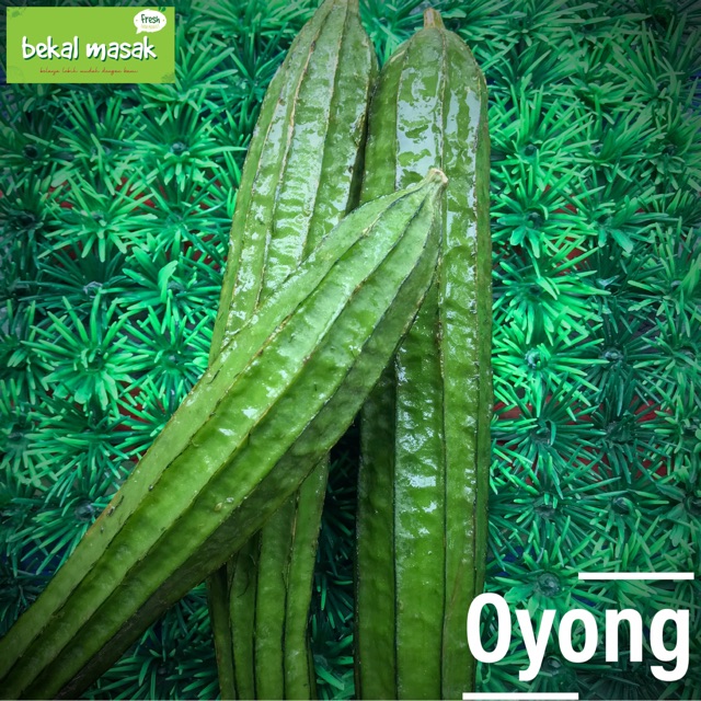 

Oyong Sayur