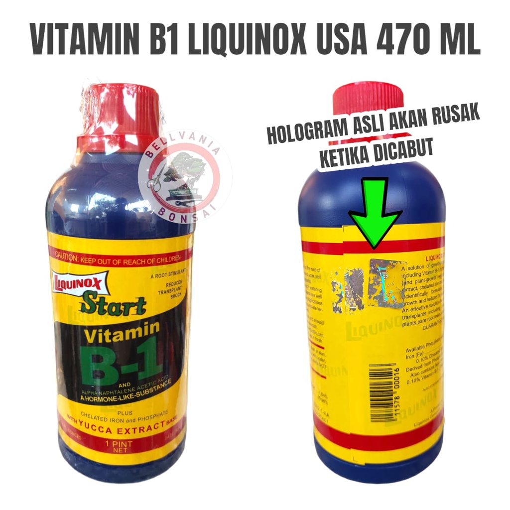 Pupuk Vitamin B1 Tanaman Liquinox Start 470 ML USA Import