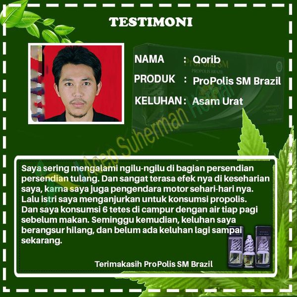 Obat Asam Urat Kaki Bengkak, Kesemutan Di Telapak Kaki 100% Asli Herbal Propolis SM Original