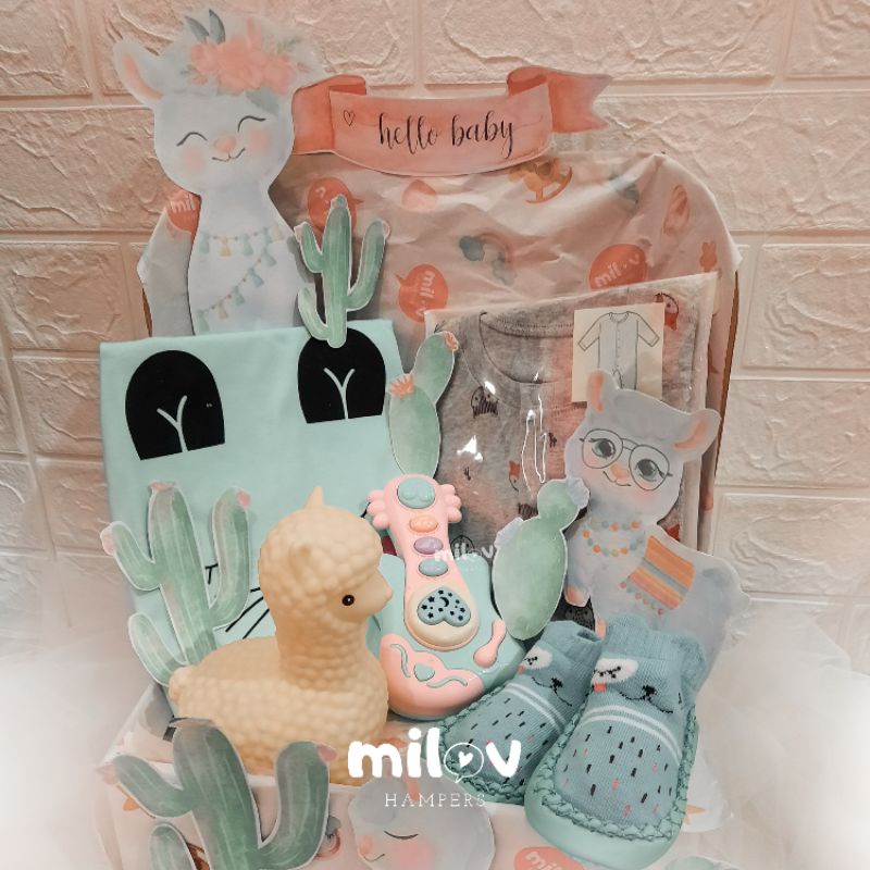 Newborn Baby Hampers | Parsel Bayi | parcel Baby | kado lahiran | Kado Bayi baru lahir | Baby Gift C