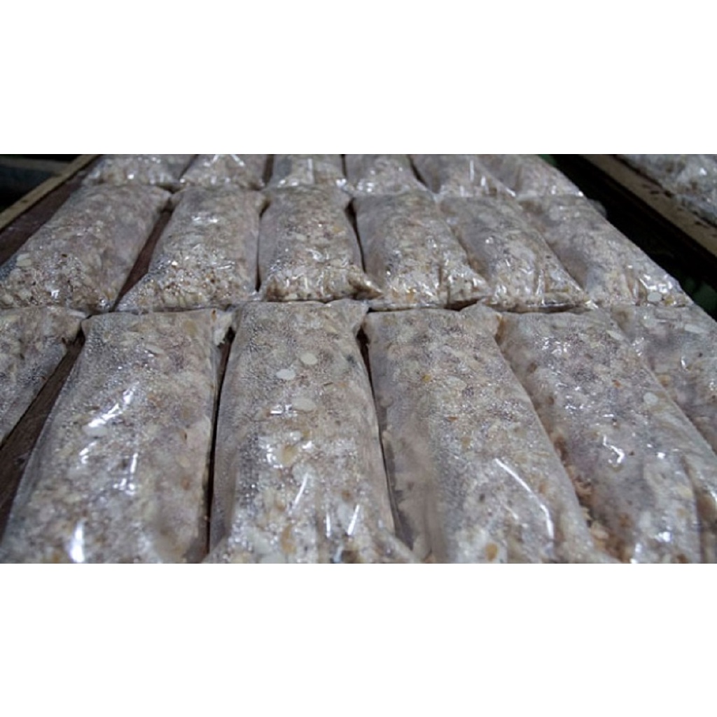 

Tempe Fermentasi