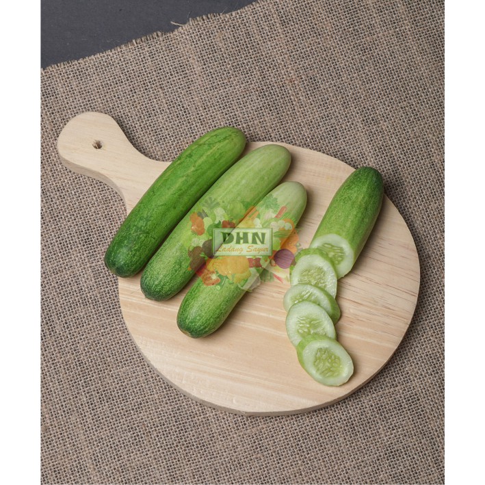 

Timun Lokal