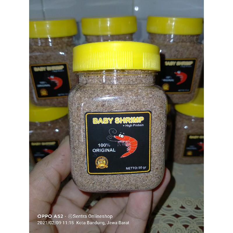 Jual Baby Shrimp Gr Original Extra Penuh Tanpa Botol Pakan Ikan