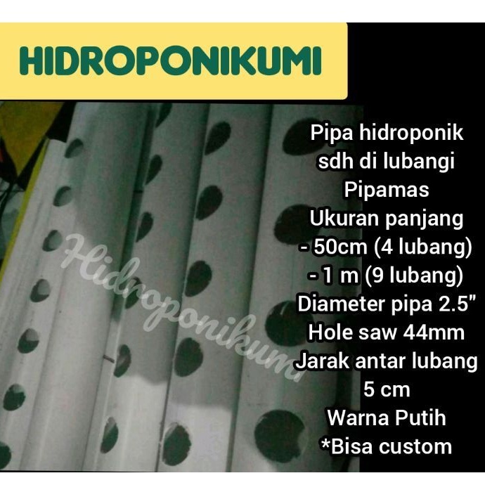 Pipa paralon hidroponik 2,5" tanpa tutup murah