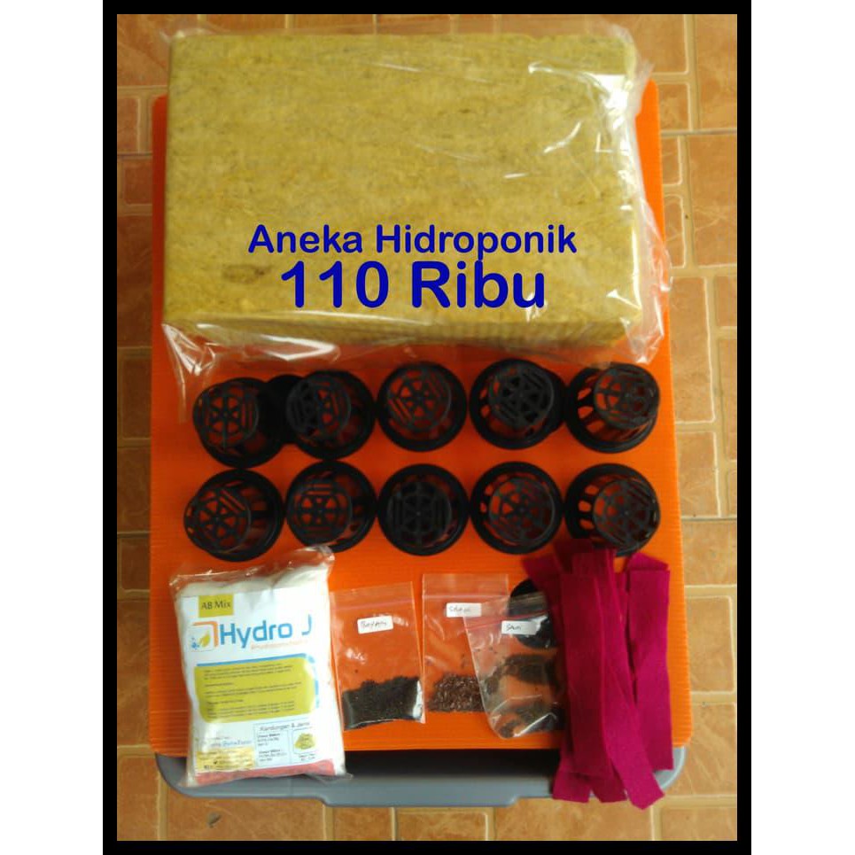 

GRATIS ! Paket Pemula Hidroponik 110 Ribu