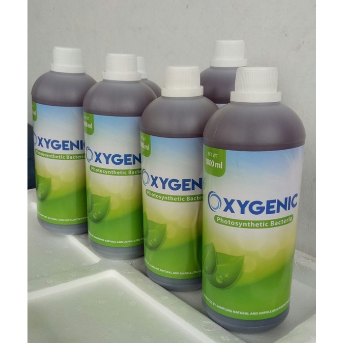 oxygenic PSB fotosintesis bakteri pertanian& perkebunan 100% organic kemasan 1 L