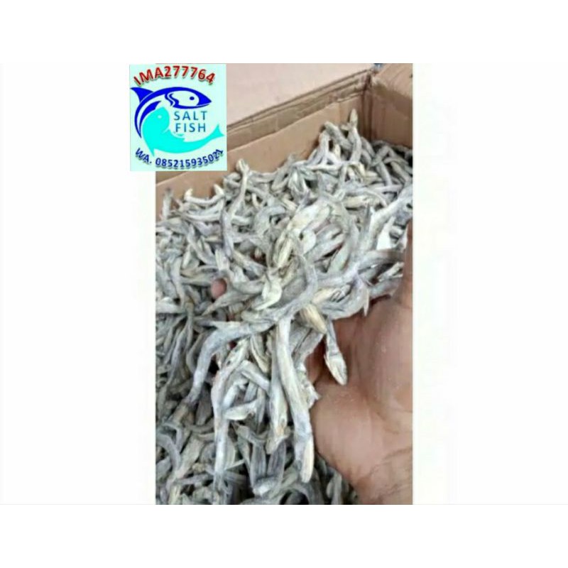 

ikan asin kacangan 1 kg