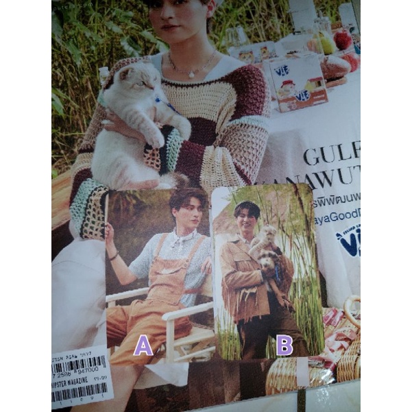 Gulf kanawut pet hipster photocard (booked)