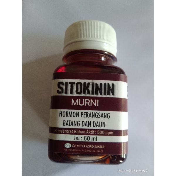 SITOKININ MURNI HORMON PERANGSANG BATANG DAUN 60ml ZPT Zpt zpt