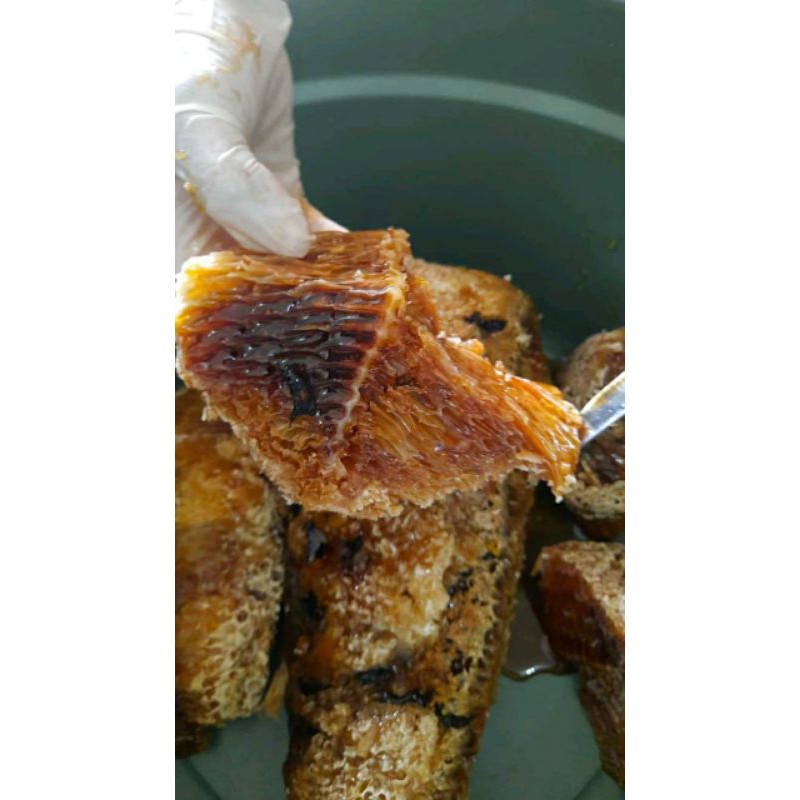 

sarang madu