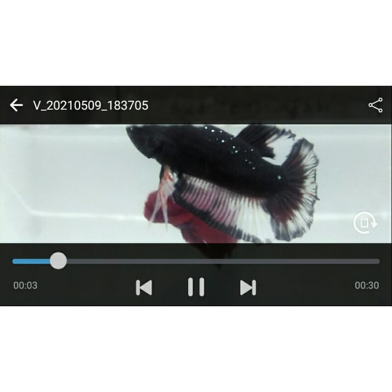 avatar cooper rintik pasir