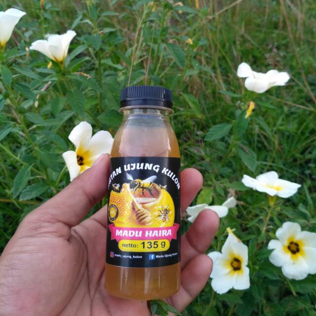 

Madu Ujung Kulon 135 gr - Manis/Serang-Banten