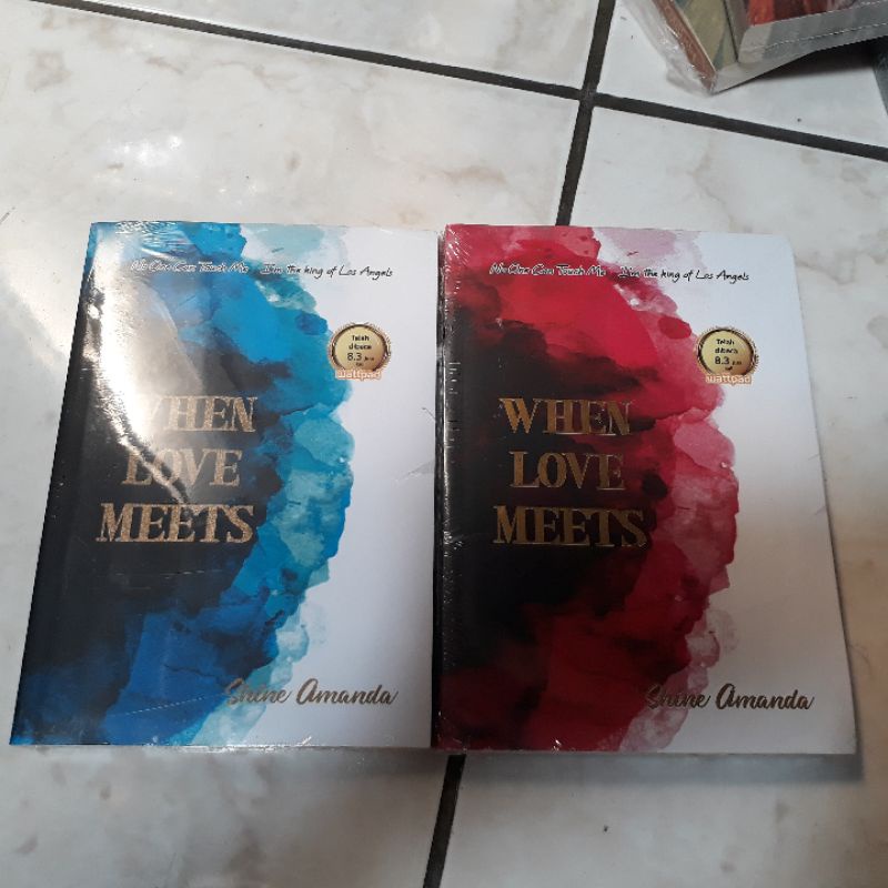 Novel When Love Meets by Shine Amanda