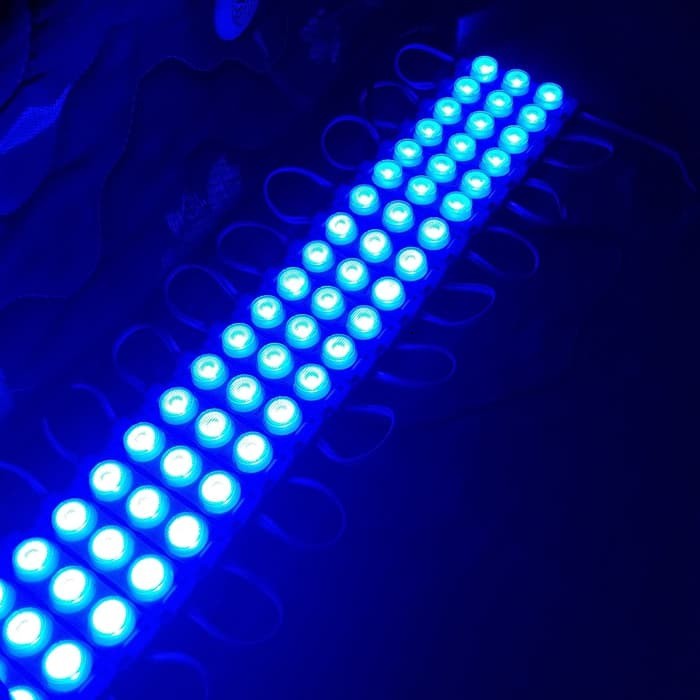 Module LED Jumbo 3Mata Warna Blue Biru Waterproof Anti Air DC 12V Tera