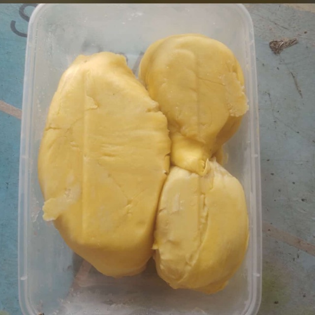 

Durian Montong