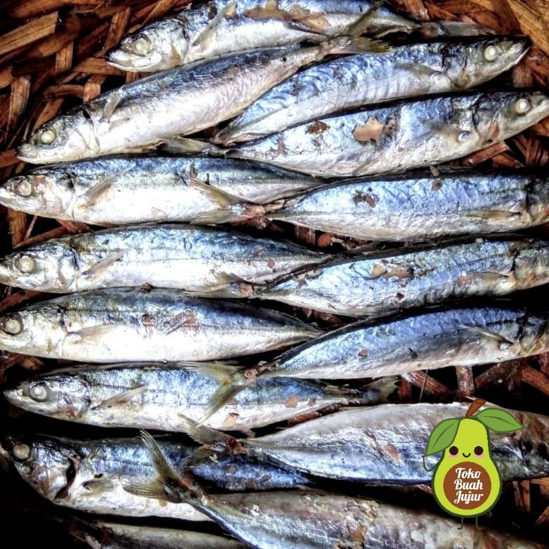 

IKAN CUE PINDANG 4 EKOR