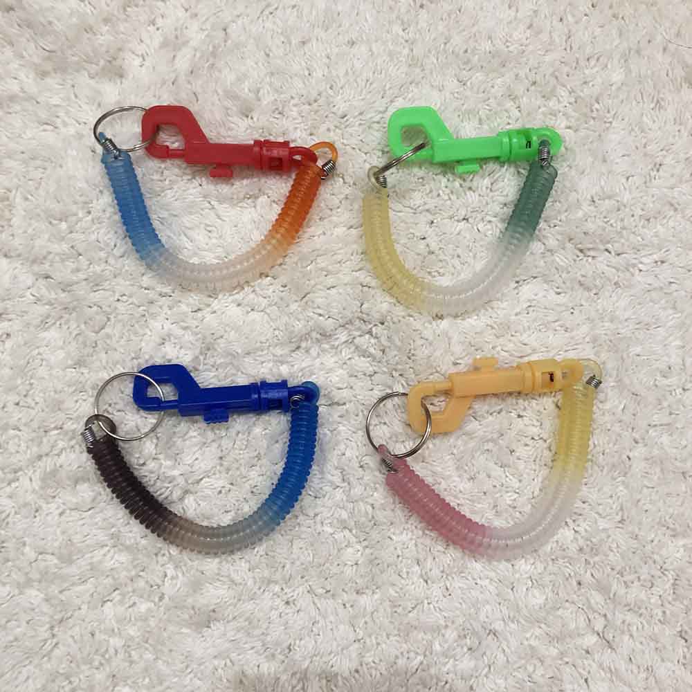 Gantungan kunci tali spiral karet per elastis kecil keychain murah berguna (String with Key Holder)